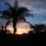 Nick Moeller - @onlysunsets - Instagram