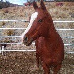 Nick Moeller - @nmoellertheranch - Instagram