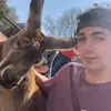 Nick Morrison2024 - @nickmorrison08 - TikTok