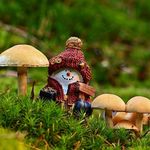 Nick Naylor - @_nick.naylor_ - Instagram