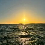 @nisto - @nicknisto - Instagram