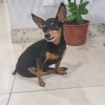 Jaldeir Estevão - @nick._nold - Instagram