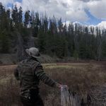 Nick Norris - @nick.norris - Instagram