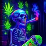 Notty Nick - Facebook