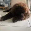 nickogle17 - @nickogle17 - TikTok