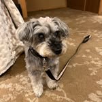 nickさん - @nick_ojisan - Instagram