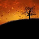 nickoji - @nickoji5 - Instagram