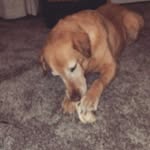 nick olander - @olander.nick - Instagram