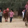 nickyozuna648 - @nickyozuna648 - TikTok