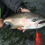 Nick Pace - @nickpace_troutwatersguy - Instagram