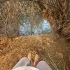 Nick pace - @fentmaxxer6924 - TikTok