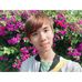 Nick Pan - Facebook