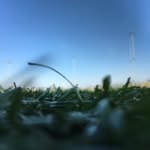 Nicholas Pannullo - @nick_pannullo - Instagram
