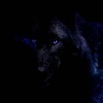 Nick Papadakis - @_nickpds - Instagram