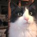 Nick Papadakis - Facebook