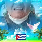 Nick Parga - @parmapillolin - Instagram