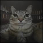 Nick_parish - @nick_carnival - Instagram