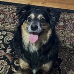 Nick John Parmer - @nick_costa15 - Instagram
