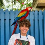 nick parrish - @nickparrish7 - Instagram