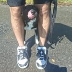 Nick Pascoe - @nickpascoe8 - Instagram