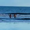 Nick Patti Spino - @nickpattispino - TikTok