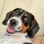 Nick Peden - @nbpeden - Instagram