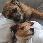 Nick Peet - @n.gpeet - Instagram