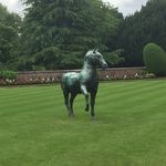 Nick - @nick_pegge - Instagram