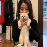 戴治 - @nick_peggy_ - Instagram