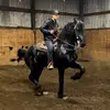 Nick Pelayo - @nick.pelayo - TikTok