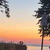 nickpell - @nickpell78 - TikTok