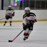Nick Pelli - @pellegrino9335 - Instagram