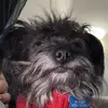 Nik Pendley - @nikpendley - TikTok