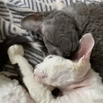 Nick Penfold - @winston.catto - Instagram