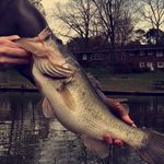 @_nickpennell_ - Instagram