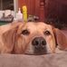 Nick Penner - Facebook