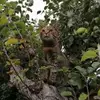 Nick Pepper - @nick.pepper5 - TikTok