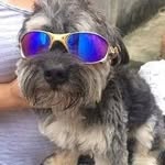 tapioca - @nickpericuloso - Instagram