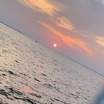 @nick_perillo04 - Instagram