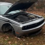 Nick Perkins - @nick_perkins22 - Instagram