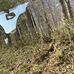 Nicholas Perra - Facebook