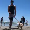 Nick Perrella - @nick.perrella - TikTok