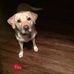 NIck Perrella - Facebook