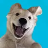 Nick Perri 🐾 - @nickperrii - TikTok