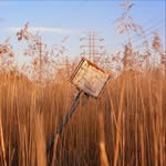Nick Perritt - @nickperritt_ - Instagram