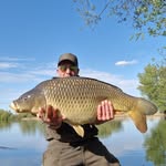 Nick Perrin - @r3ggie85 - Instagram