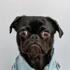 Nick Perron - @nickperron1 - TikTok