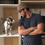 Nick Perron-Siegel - @nickperronsiegel - Instagram