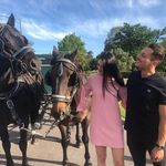 Nick Perrone - @perrrone - Instagram