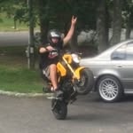 Nickperrone - @nickperrone486 - Instagram
